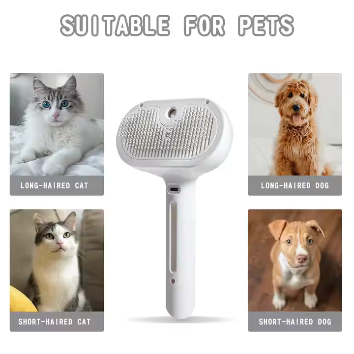 cat cleaner